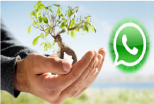 2015 Best USA Hospitals